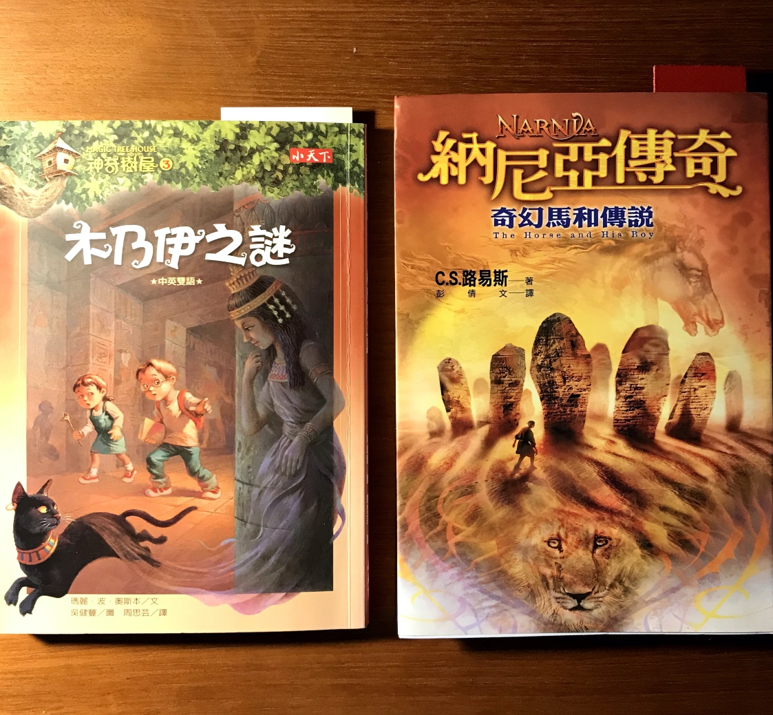 children's fantasy covers in Chinese
