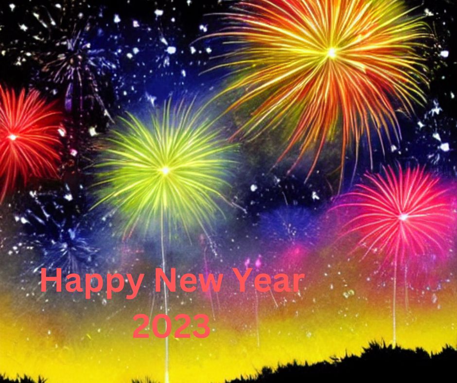 Fireworks in night sky in the countryside