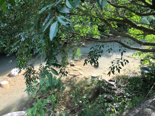 River and forest in Taiwan. Ned Marcus.