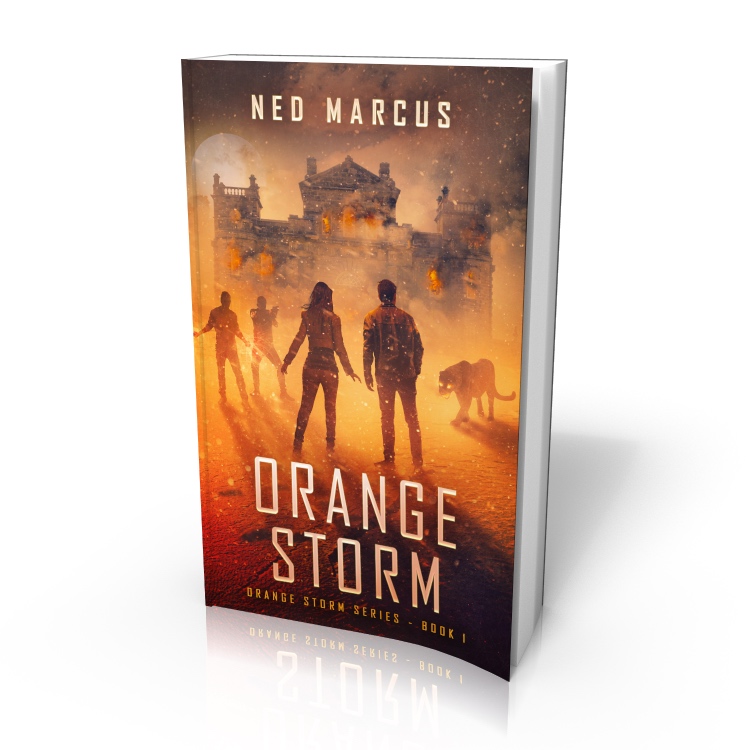 Orange Storm (cover) by Ned Marcus