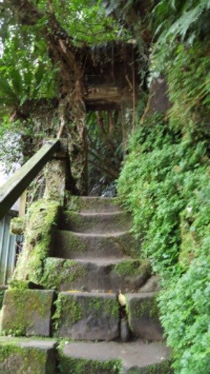 Old doorway in Shiding. Ned Marcus.